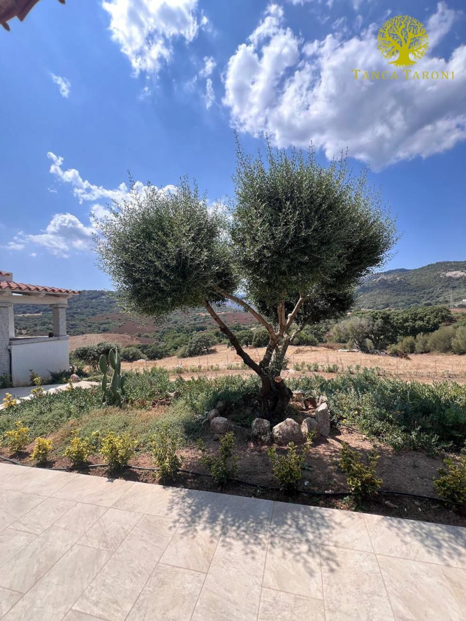 Agriturismo Bed And Breakfast Tanca Taroni Telti Экстерьер фото