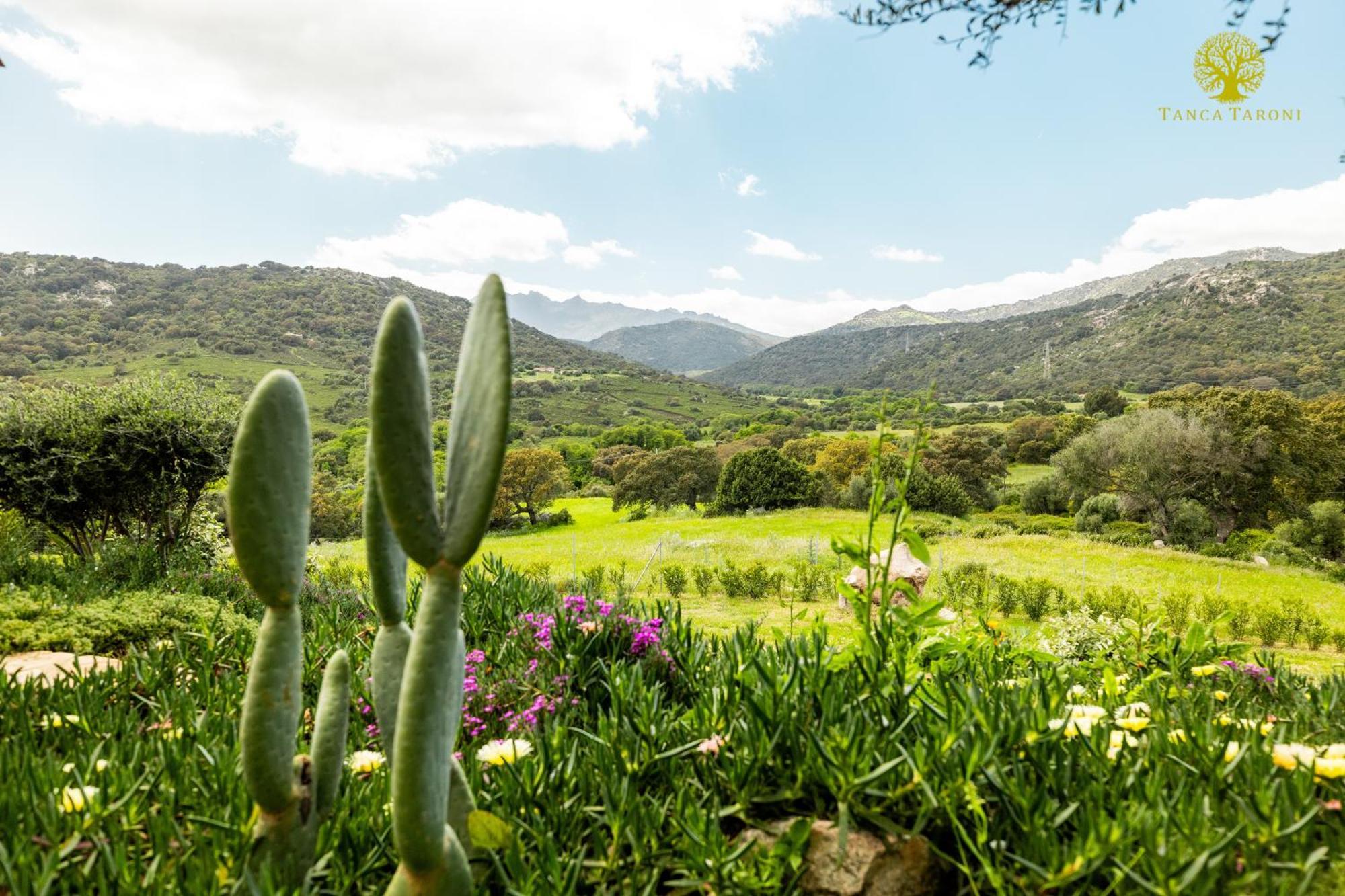 Agriturismo Bed And Breakfast Tanca Taroni Telti Экстерьер фото