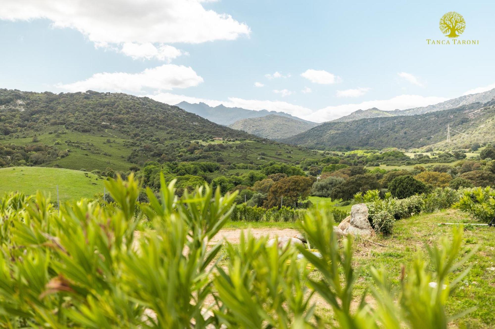 Agriturismo Bed And Breakfast Tanca Taroni Telti Экстерьер фото