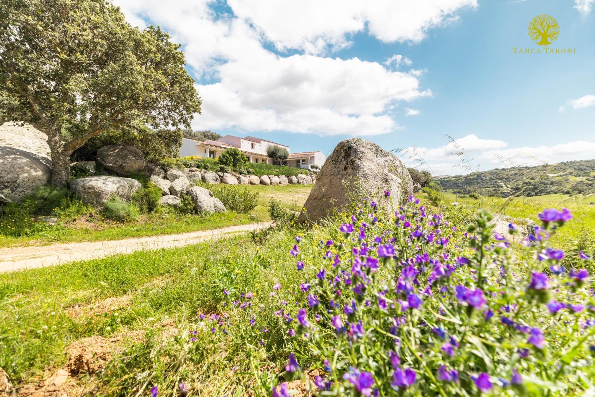Agriturismo Bed And Breakfast Tanca Taroni Telti Экстерьер фото