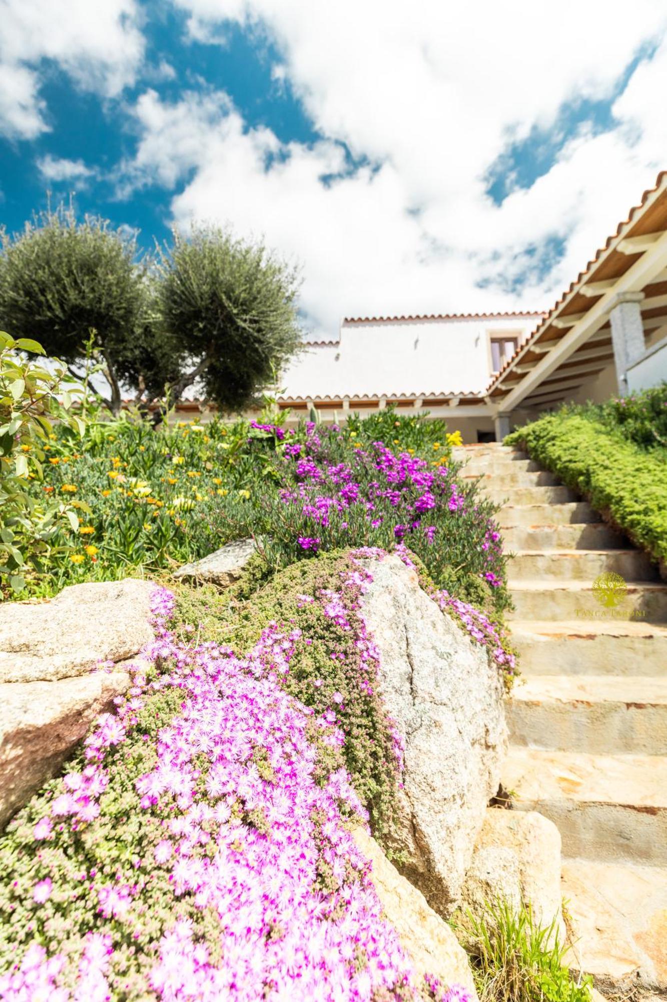Agriturismo Bed And Breakfast Tanca Taroni Telti Экстерьер фото