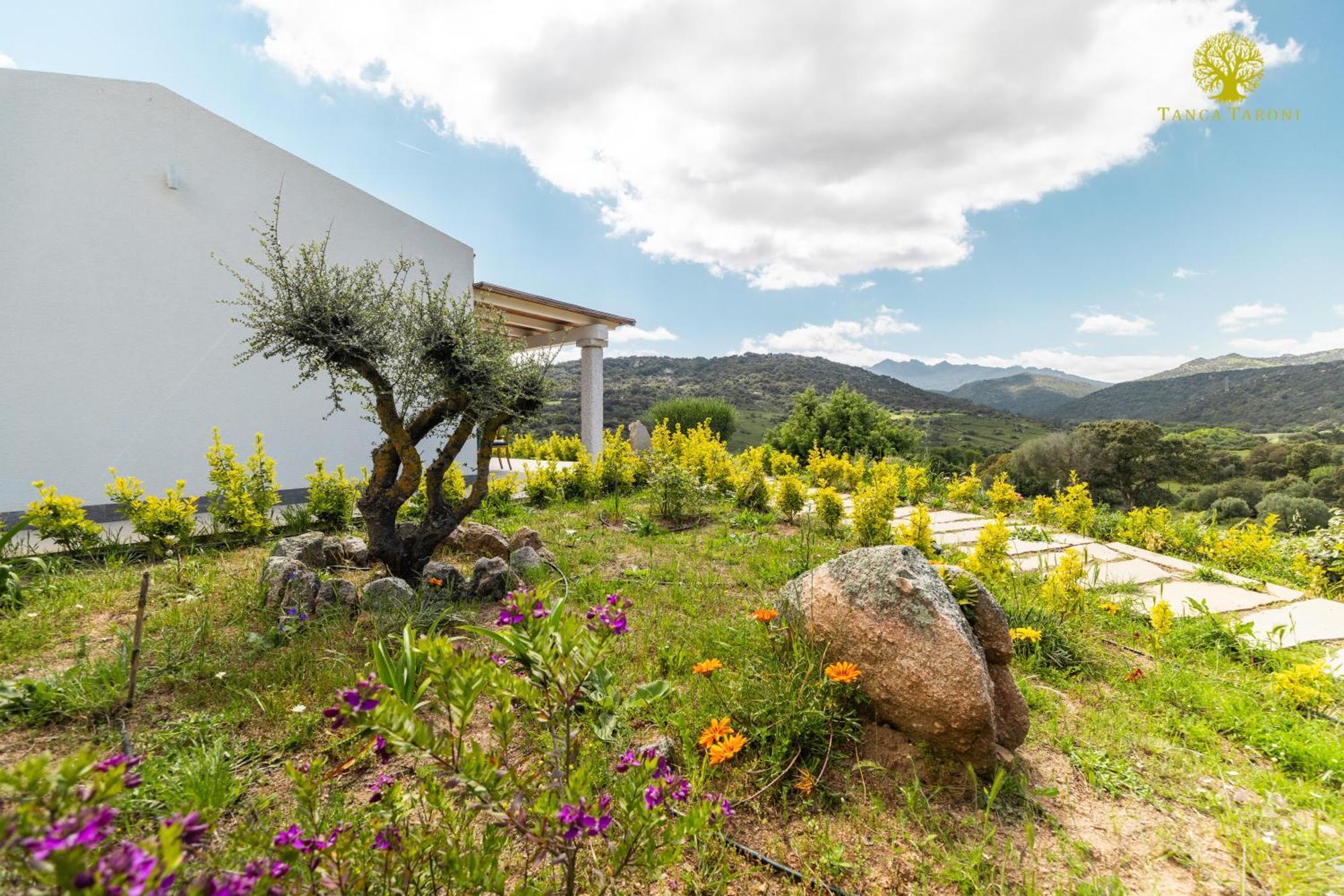 Agriturismo Bed And Breakfast Tanca Taroni Telti Экстерьер фото
